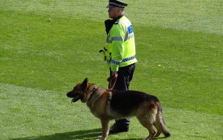 "Police Dog & Handler on the Pitch" by joncandy is licensed under CC BY-SA 2.0.