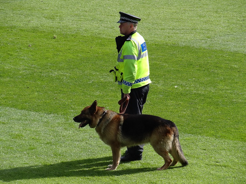 "Police Dog & Handler on the Pitch" by joncandy is licensed under CC BY-SA 2.0.